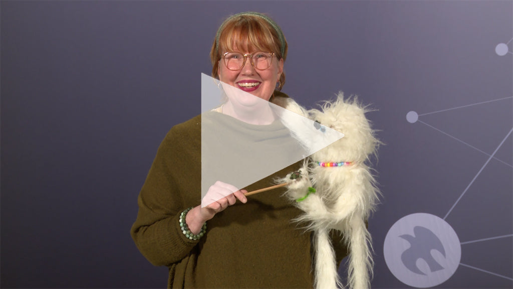 Disciples Generous Response: "Tithes and...Turtles?!" (mp4 Video Download)