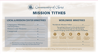 New Tithing Envelopes - pack of 25 (Adult)
