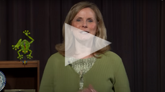 Witness the Word: Fully Present in this Moment (mp4 Video Download)