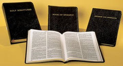 Book of Mormon